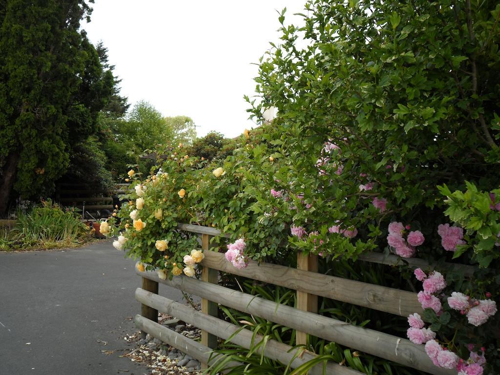 Bluebell Lodge And Cottage Hastings Kültér fotó